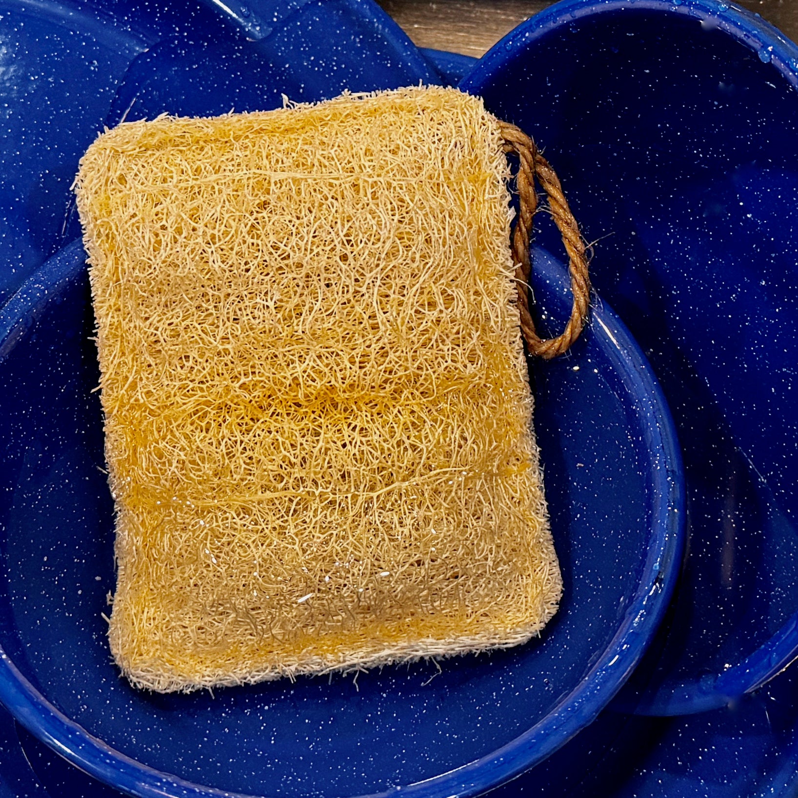 Oloofa Dish Sponge (Số Muớp rửa bát)