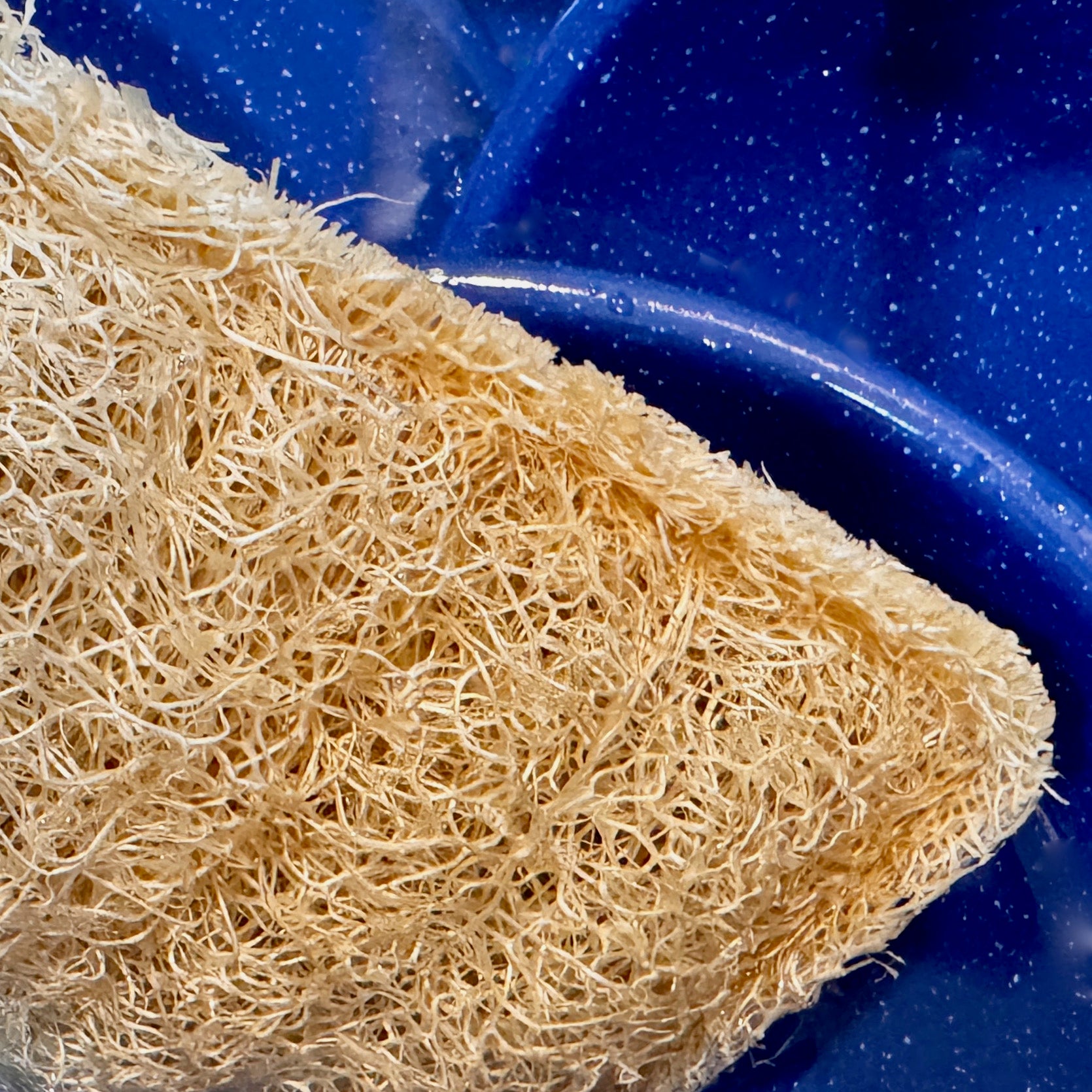 Oloofa Dish Sponge (Số Muớp rửa bát)