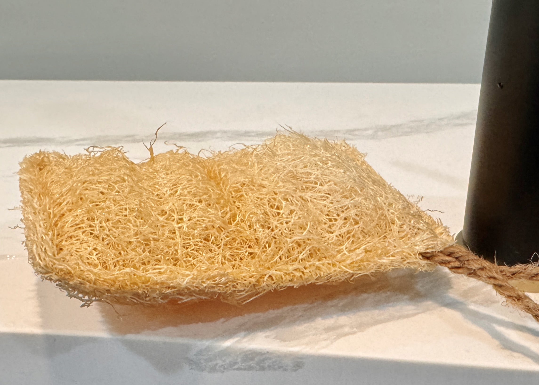 Oloofa Dish Sponge (Số Muớp rửa bát)