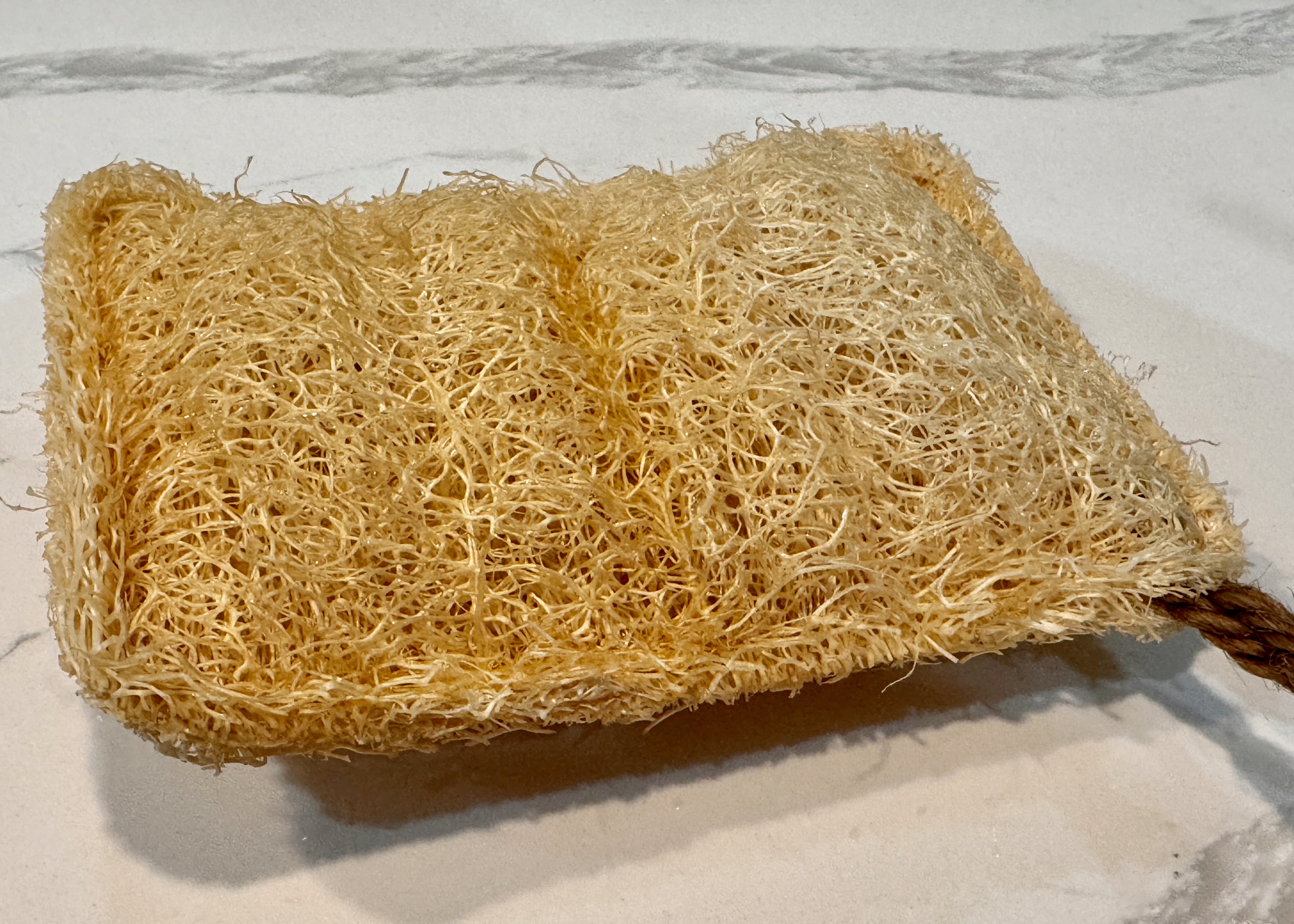 Oloofa Dish Sponge (Số Muớp rửa bát)