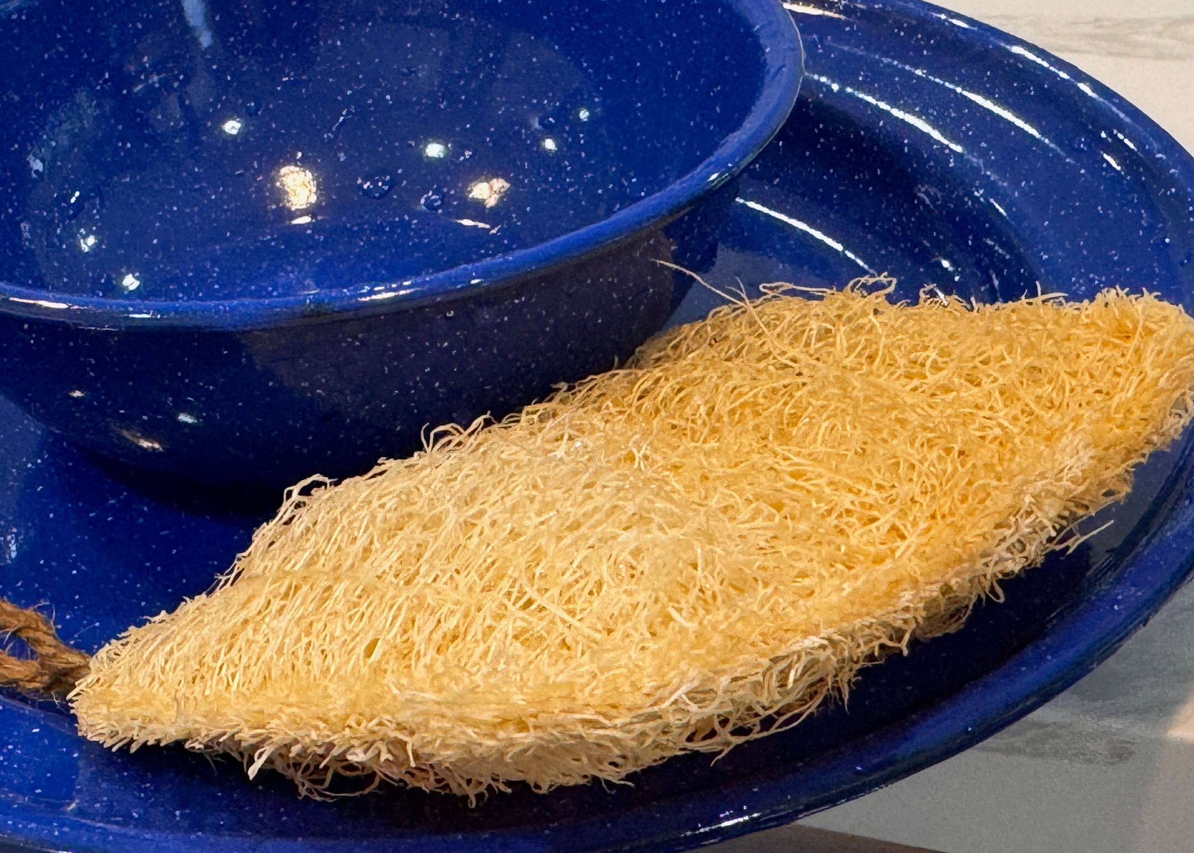 Oloofa Dish Sponge (Số Muớp rửa bát)