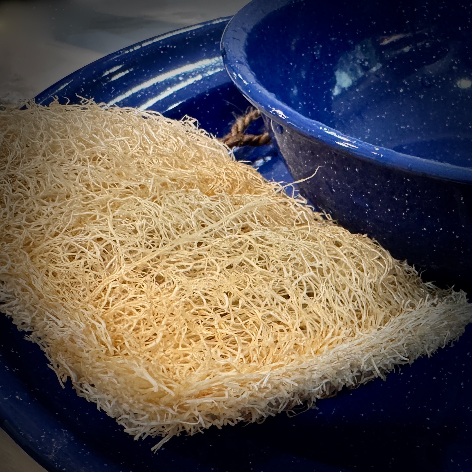 Oloofa Dish Sponge (Số Muớp rửa bát)