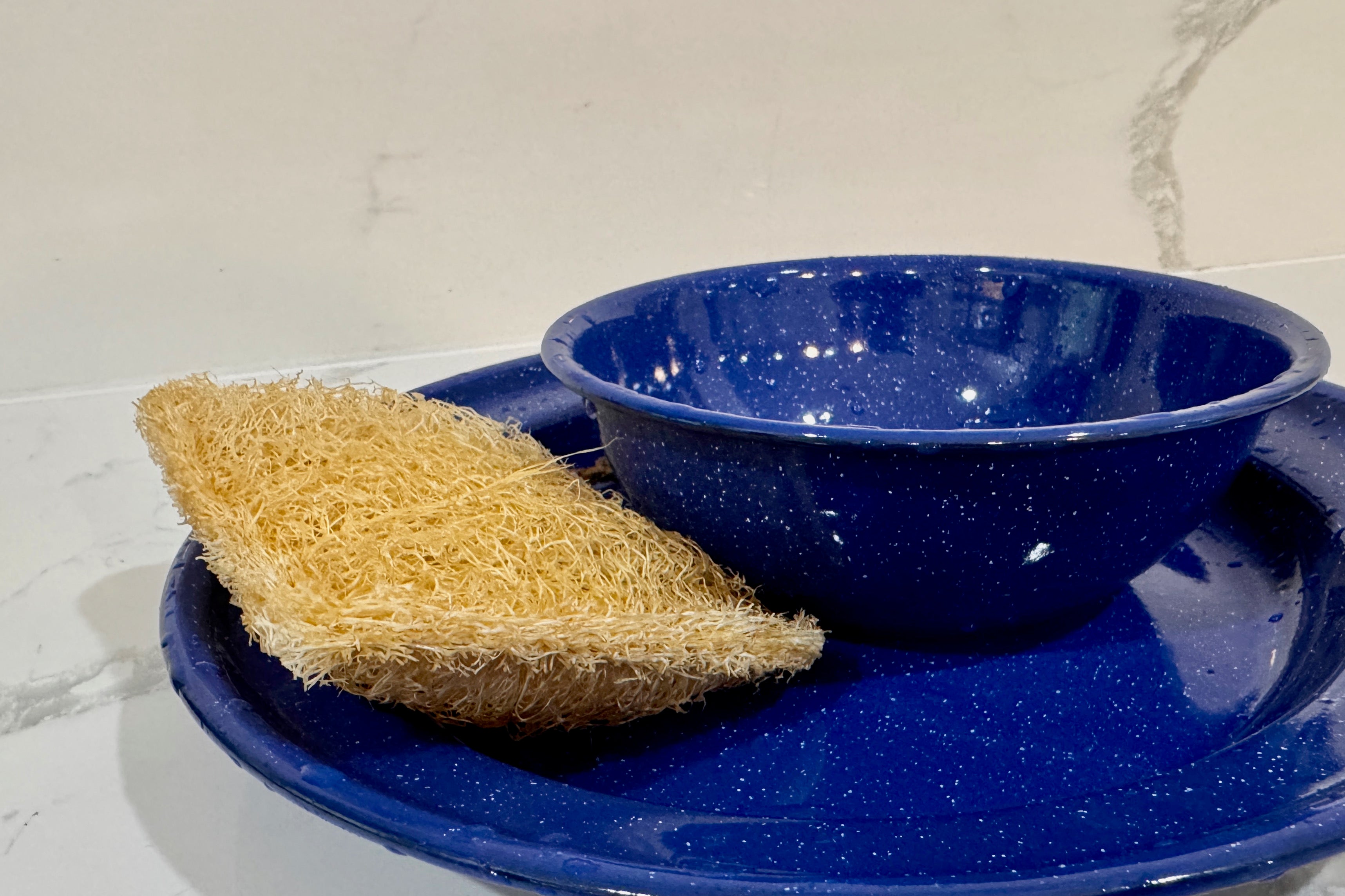 Oloofa Dish Sponge (Số Muớp rửa bát)