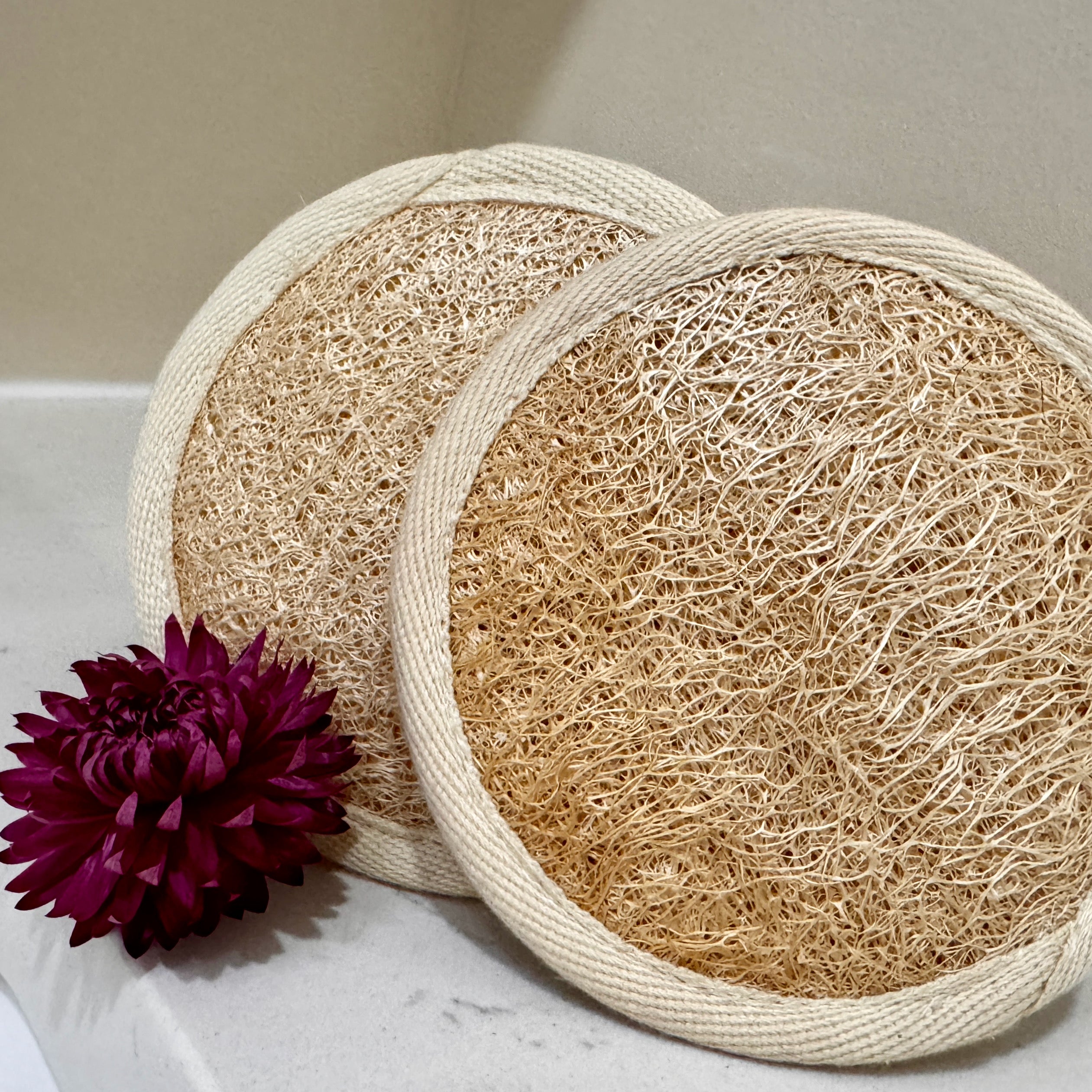 Oloofa Soft Massage Pad (Số Muớp Rửa Mặt)