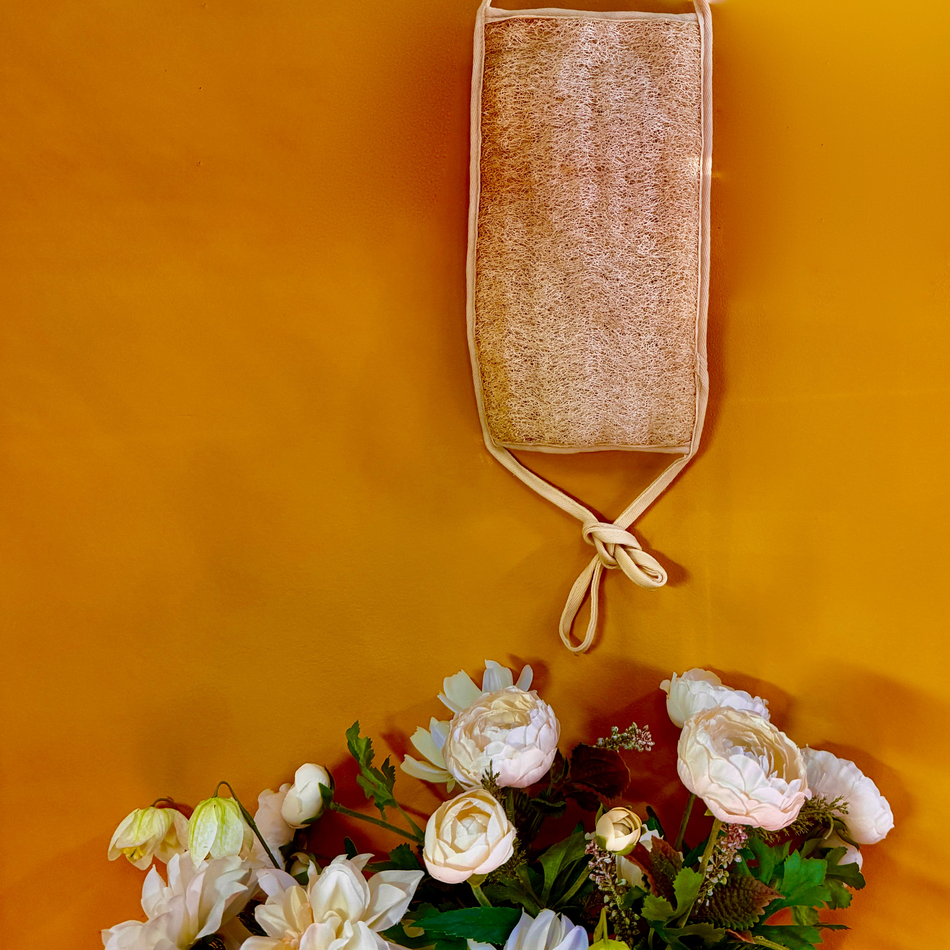 Oloofa Back Scrub (Số Muớp chà lưng)