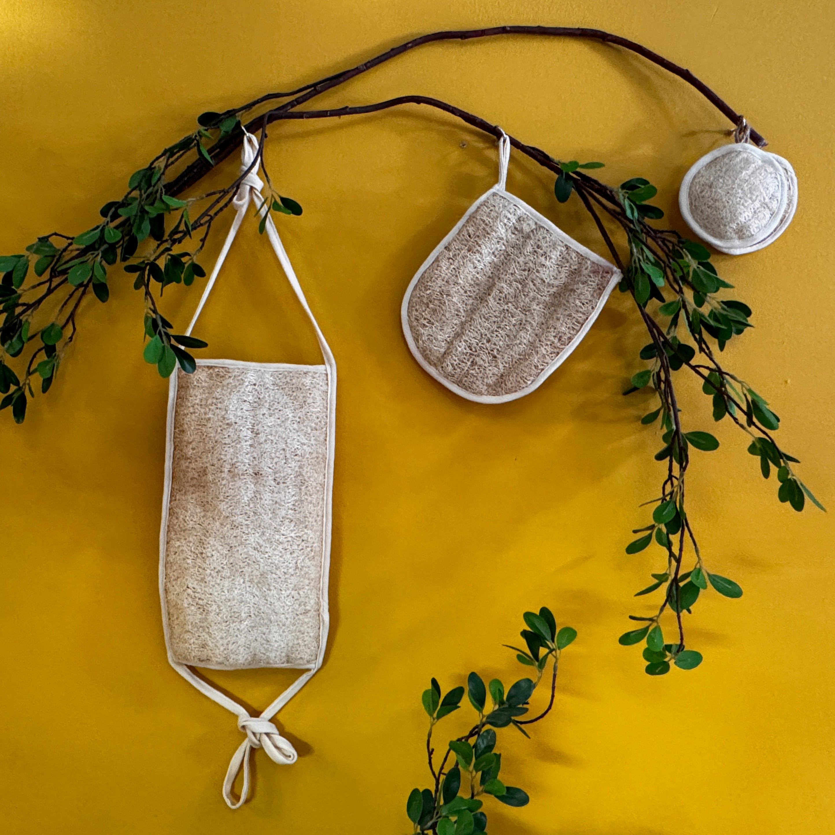 Oloofa Back Scrub (Số Muớp chà lưng)