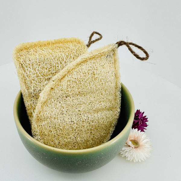 Oloofa Dish Sponge
