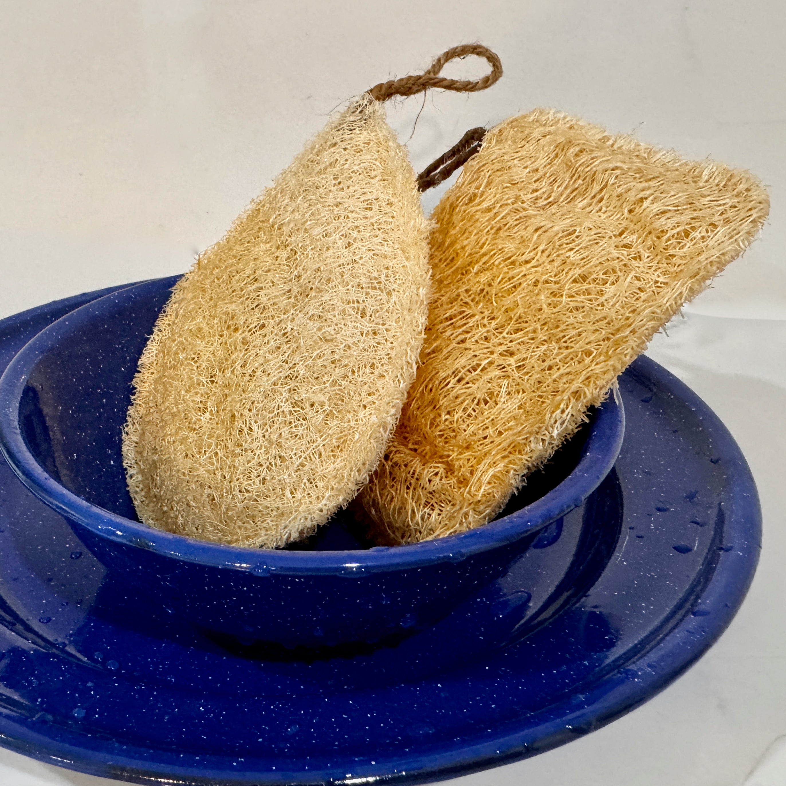 Oloofa Dish Sponge (Số Muớp rửa bát)