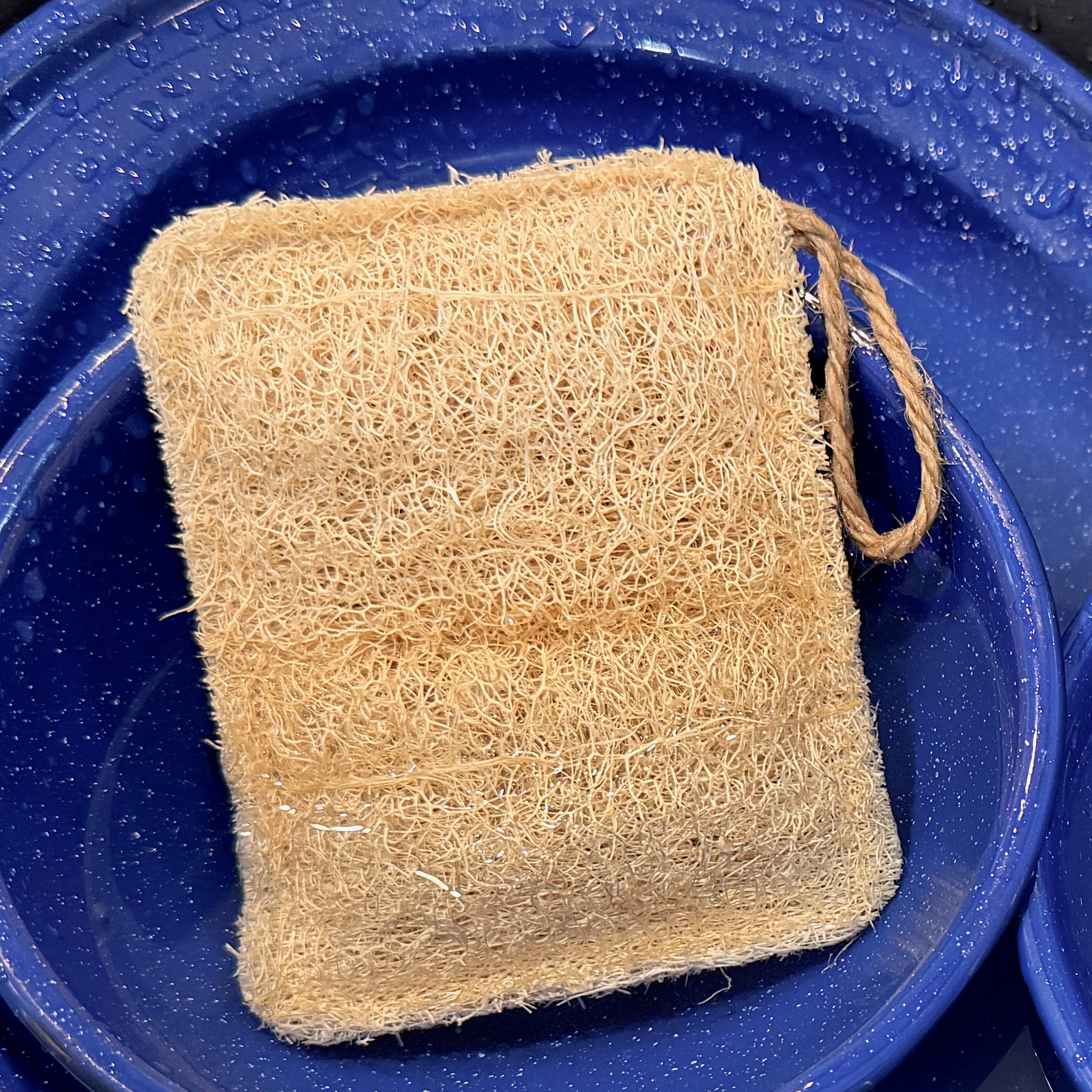 Oloofa Dish Sponge (Số Muớp rửa bát)
