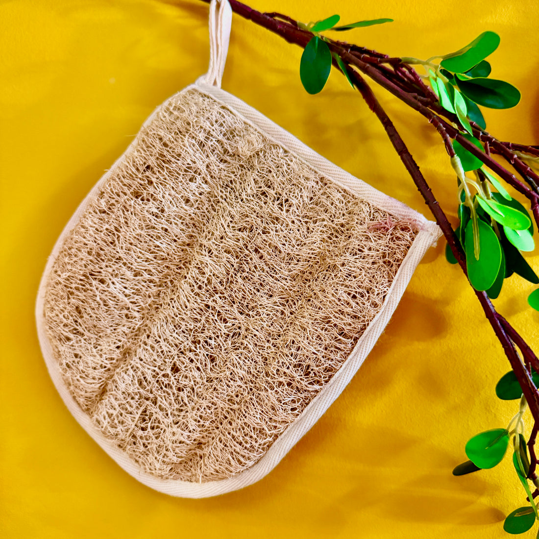 Oloofa Exfoliate Mitten