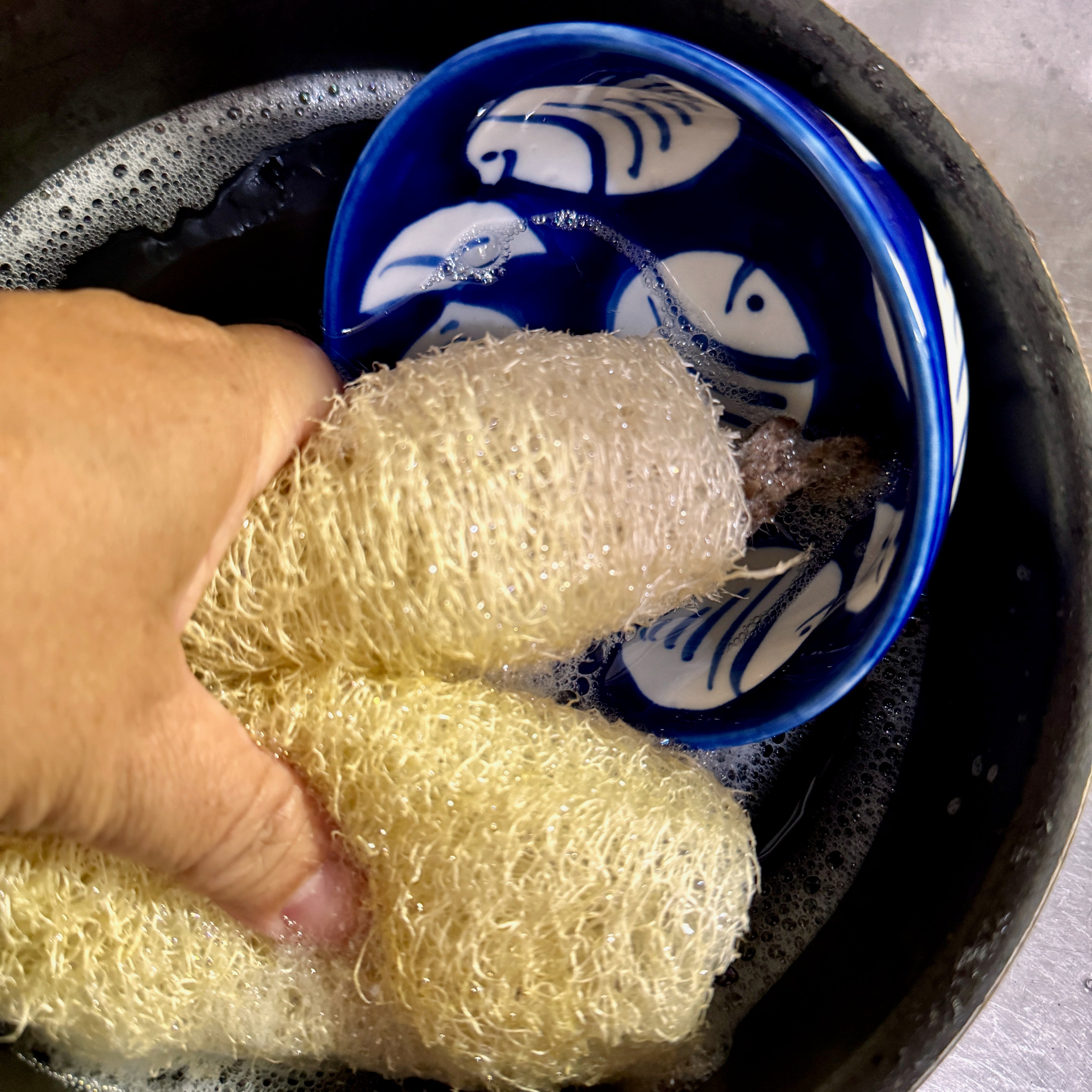 Oloofa Flex Sponge (Xơ Mướp đa năng)