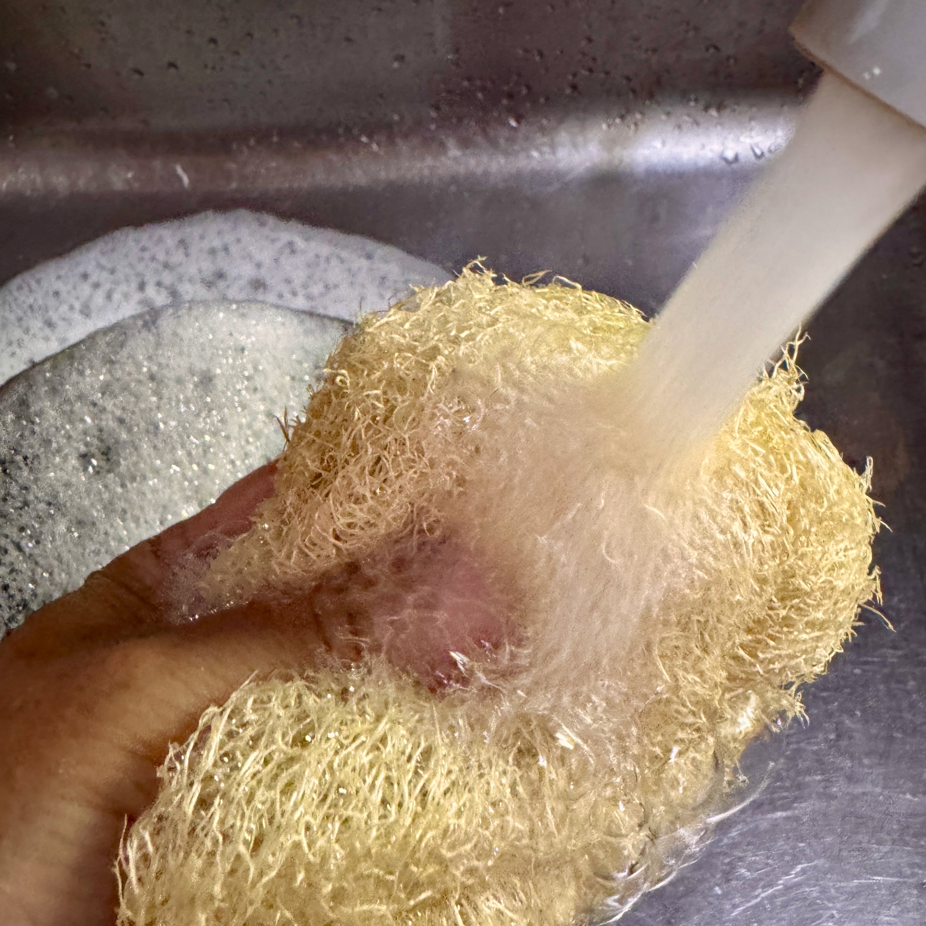 Oloofa Flex Sponge (Xơ Mướp đa năng)