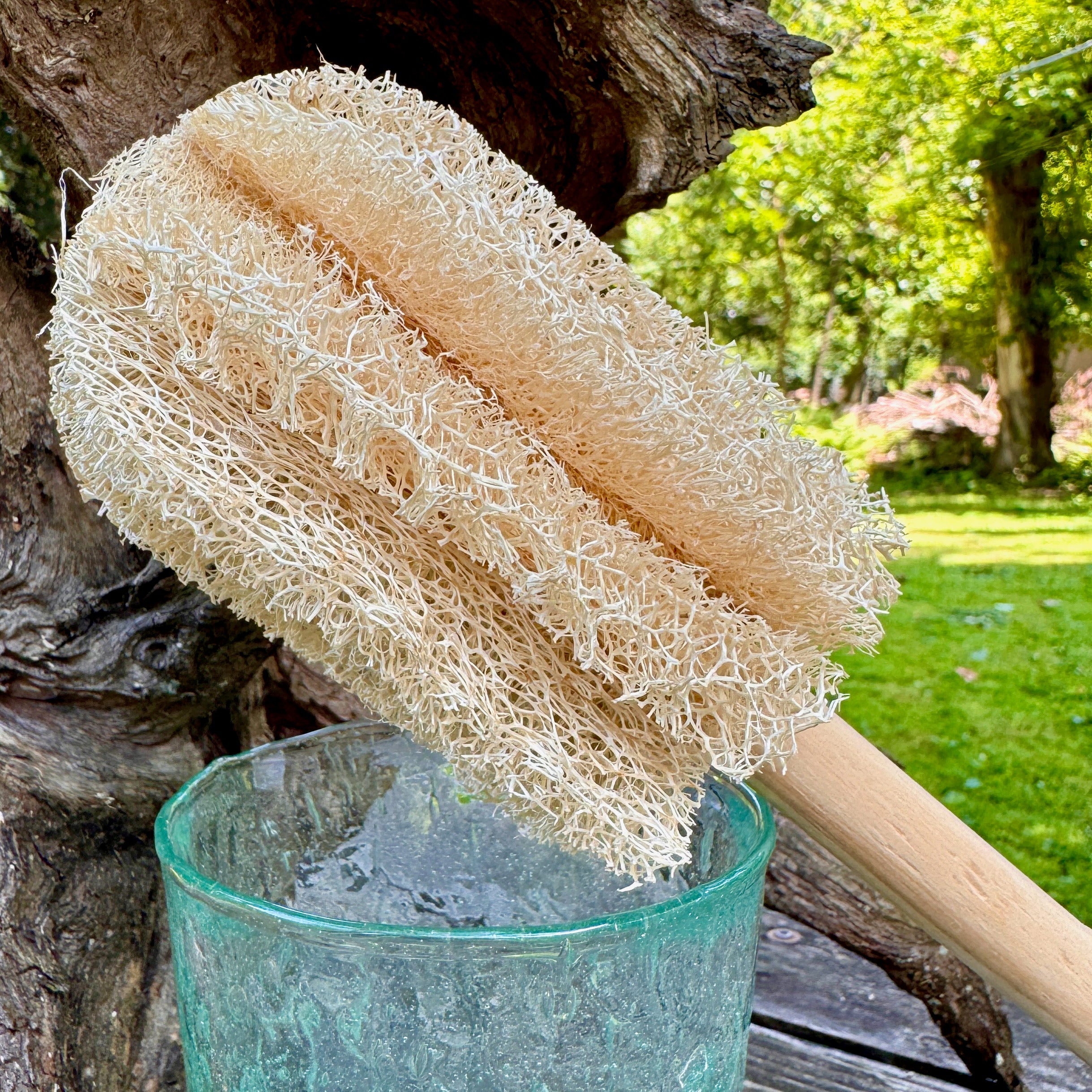 Oloofa Glass and Mug Cleaning Wand (Số Muớp rửa ly)
