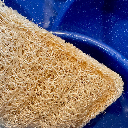 Oloofa Dish Sponge (Số Muớp rửa bát)
