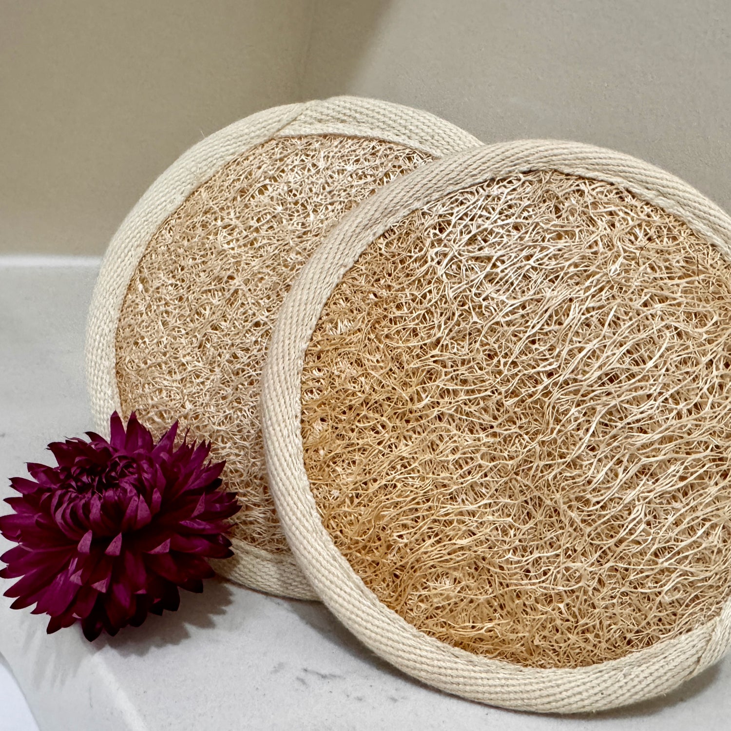 Oloofa Soft Massage Pad (Số Muớp Rửa Mặt)