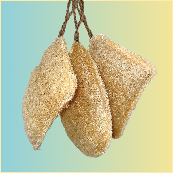 Oloofa Dish Sponge (Case of 12)