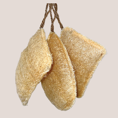 Oloofa Dish Sponge (Case of 12)