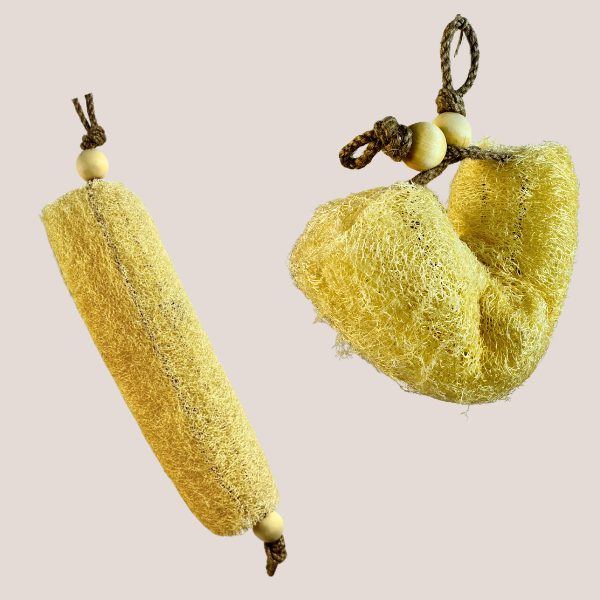 Oloofa Flexible Sponge (Case of 12)