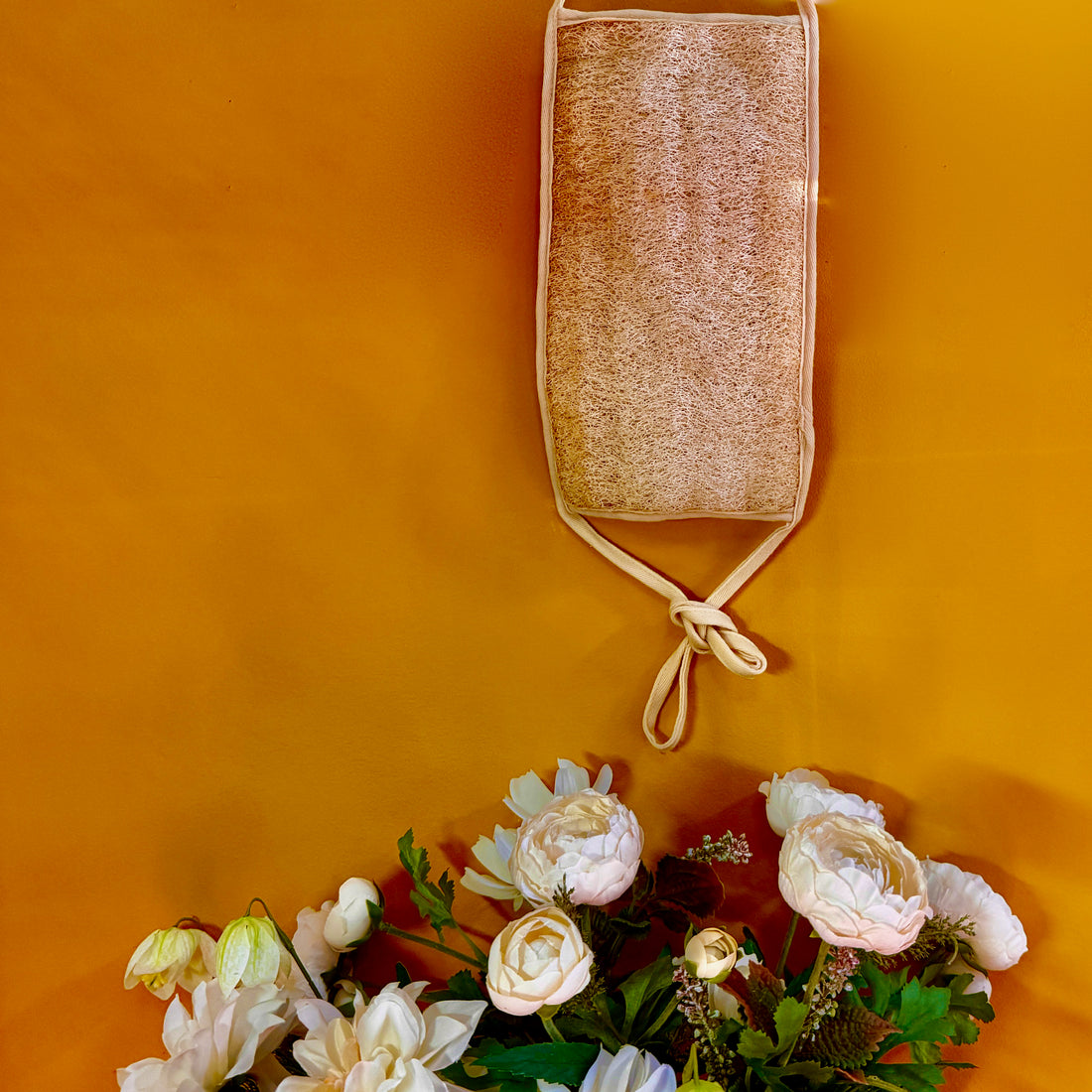 Oloofa Back Scrub (Số Muớp chà lưng)