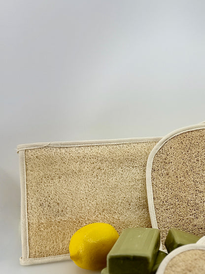 Oloofa Back Scrub (Số Muớp chà lưng)