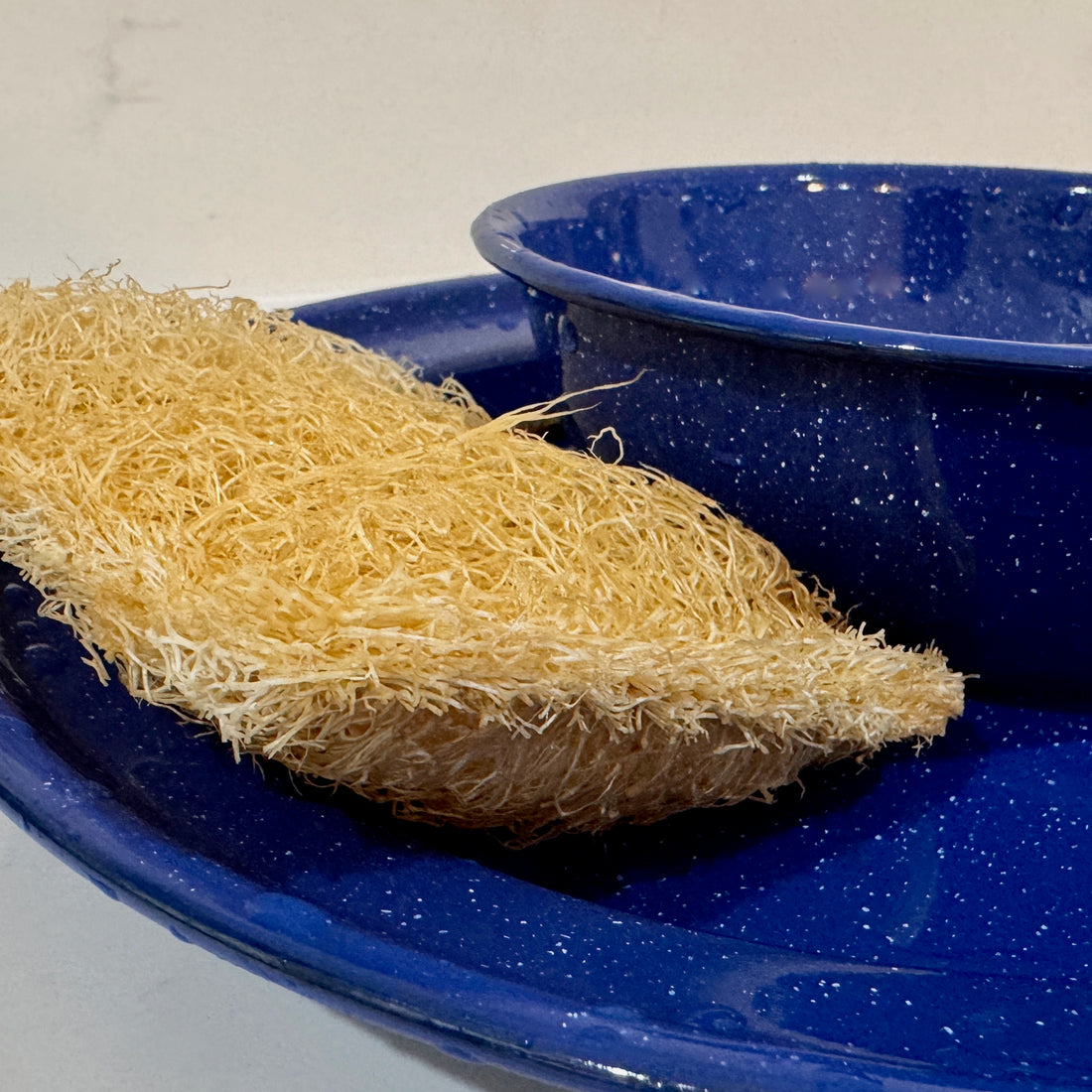 Oloofa Dish Sponge (Số Muớp rửa bát)