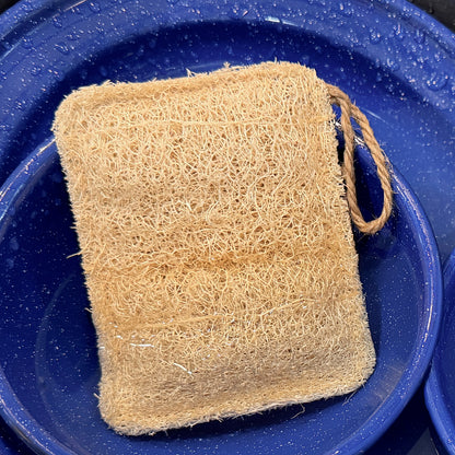 Oloofa Dish Sponge (Số Muớp rửa bát)
