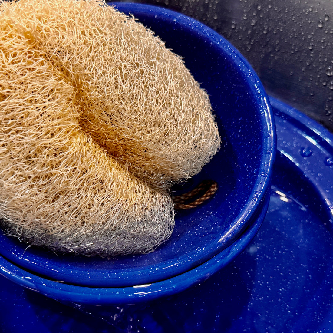 Oloofa Flex Sponge (Xơ Mướp đa năng)